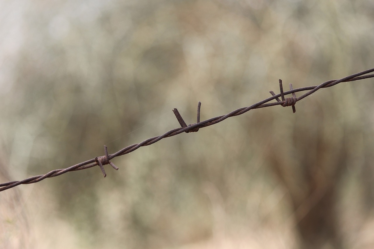 How Defense Technology is Transforming Border Security